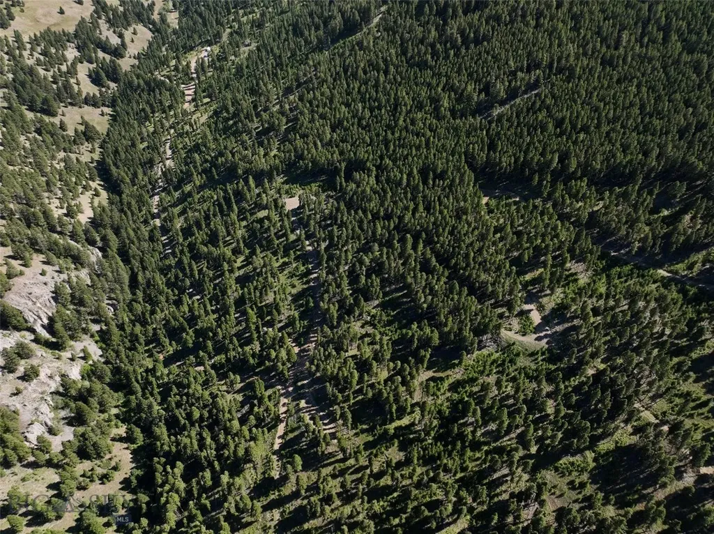 Tbd A Chimney Lakes Road Helmville MT 59843