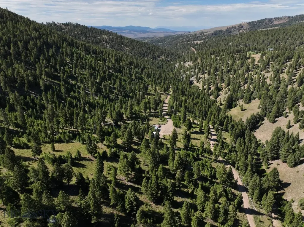 Tbd B Chimney Lakes Road Helmville MT 59843