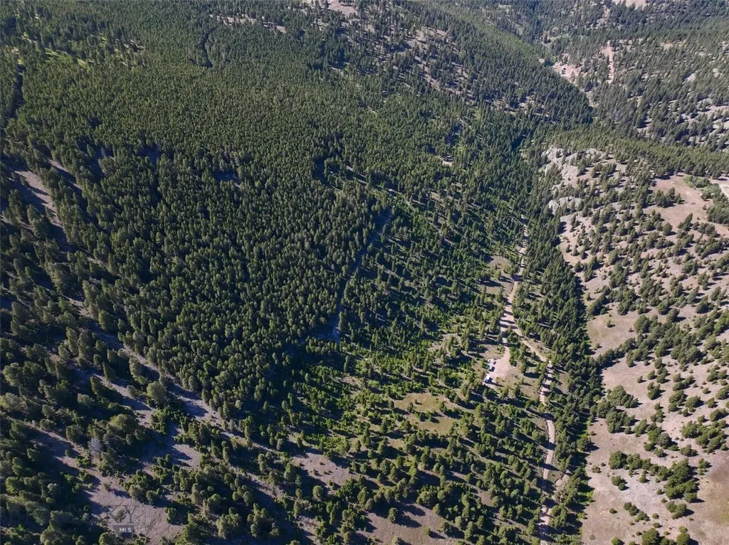 Tbd B Chimney Lakes Road Helmville MT 59843