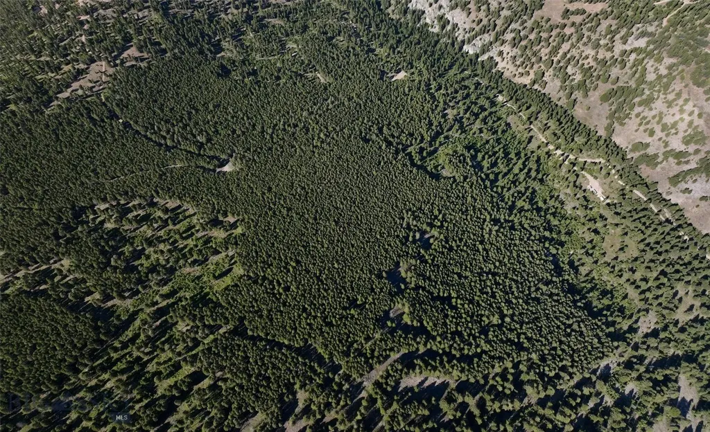 Tbd B Chimney Lakes Road Helmville MT 59843