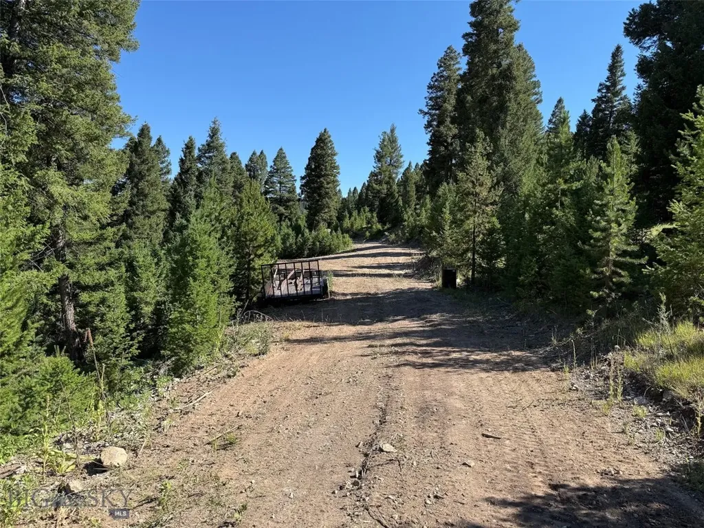 Tbd B Chimney Lakes Road Helmville MT 59843