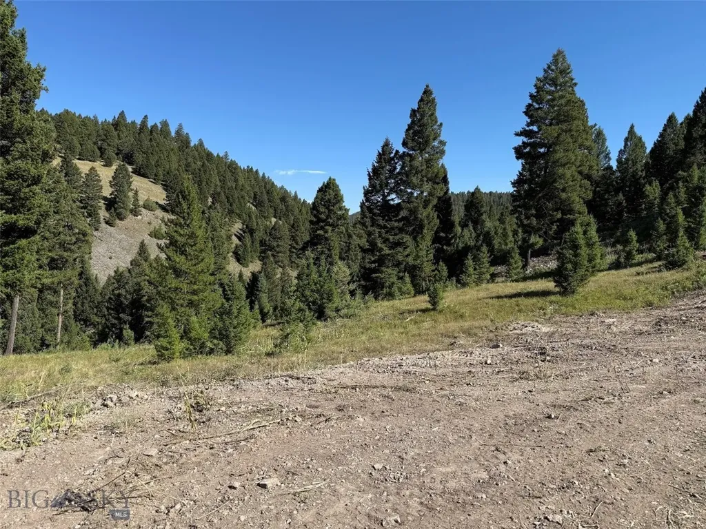 Tbd B Chimney Lakes Road Helmville MT 59843