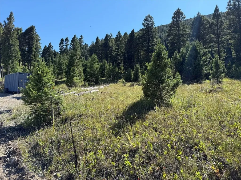 Tbd B Chimney Lakes Road Helmville MT 59843