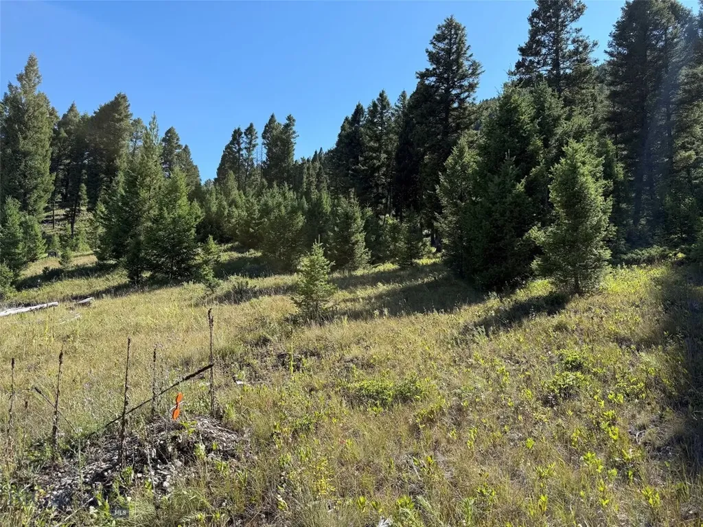 Tbd B Chimney Lakes Road Helmville MT 59843