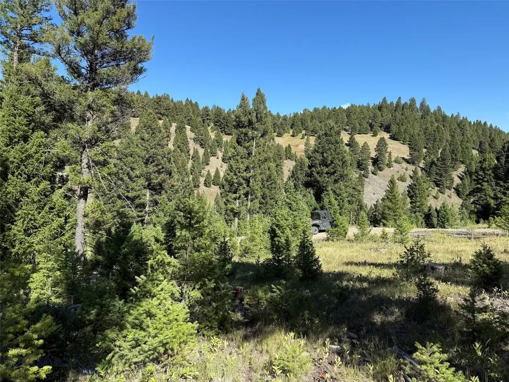 Tbd B Chimney Lakes Road Helmville MT 59843