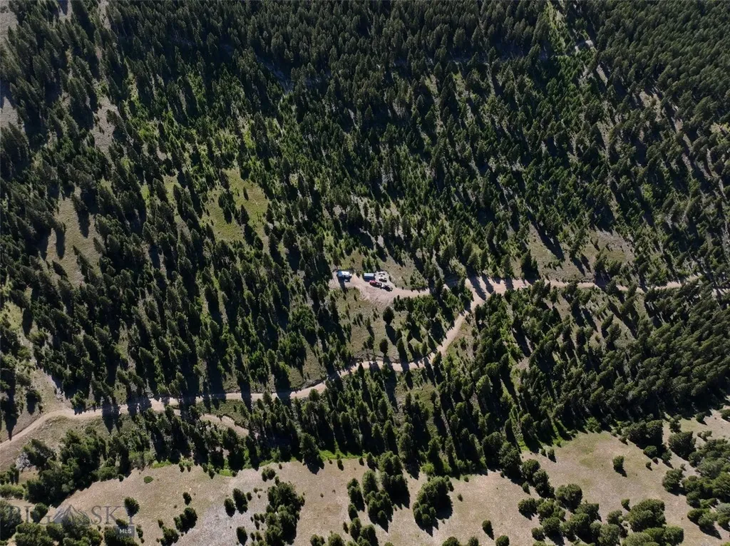 Tbd B Chimney Lakes Road Helmville MT 59843