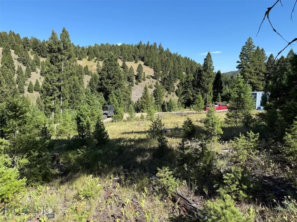 Tbd B Chimney Lakes Road Helmville MT 59843