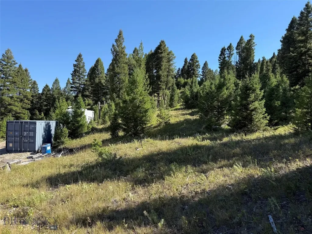 Tbd B Chimney Lakes Road Helmville MT 59843
