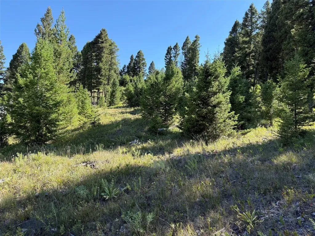 Tbd B Chimney Lakes Road Helmville MT 59843