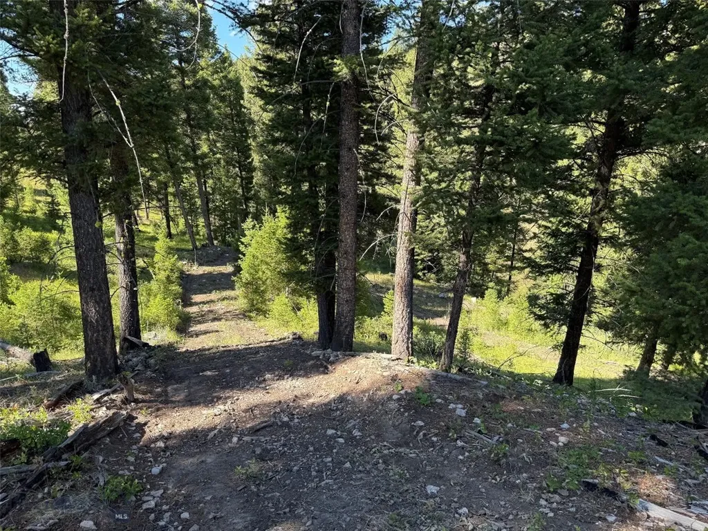 Tbd B Chimney Lakes Road Helmville MT 59843
