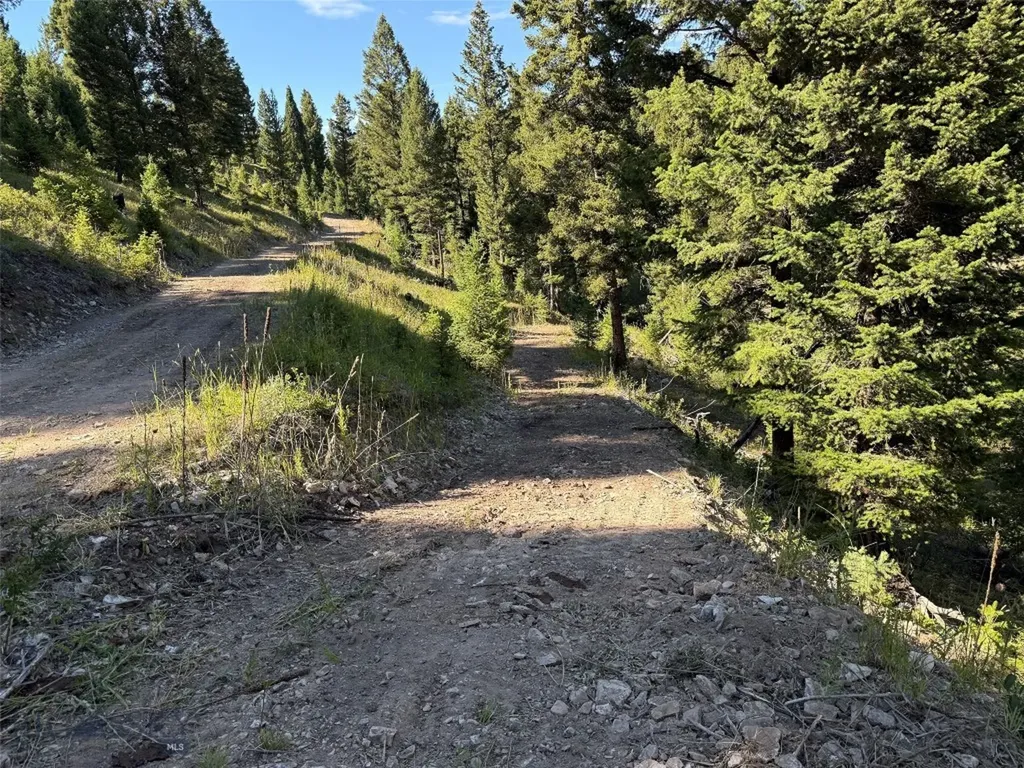 Tbd B Chimney Lakes Road Helmville MT 59843