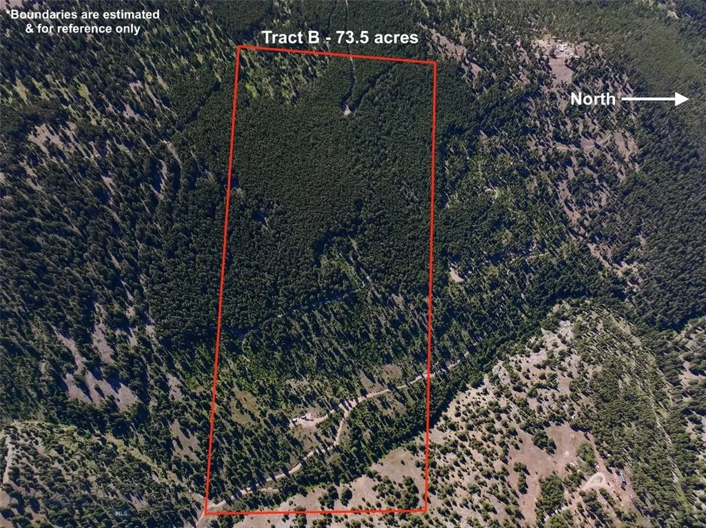 Tbd B Chimney Lakes Road Helmville MT 59843