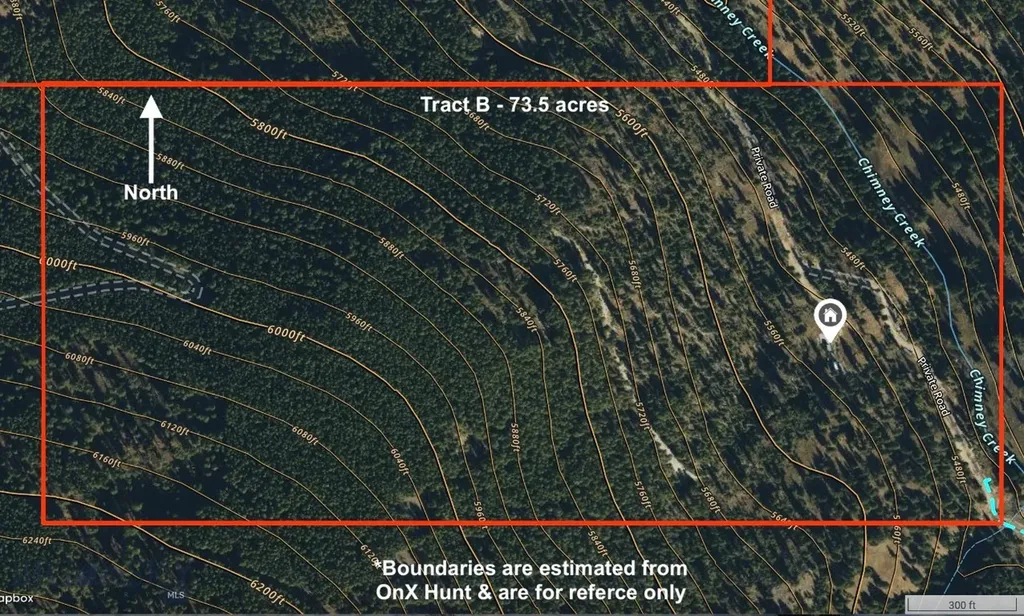 Tbd B Chimney Lakes Road Helmville MT 59843