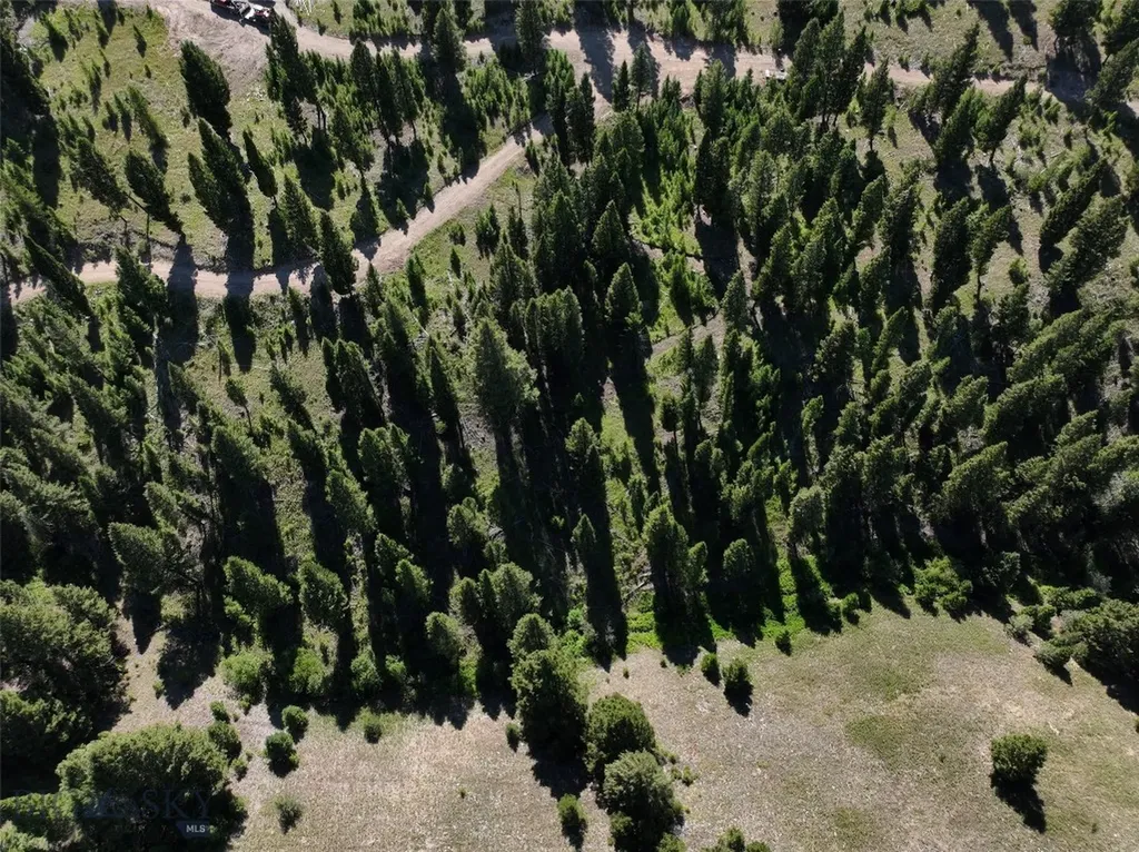 Tbd B Chimney Lakes Road Helmville MT 59843