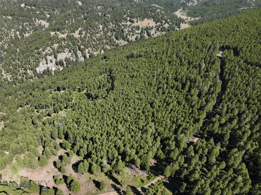 Tbd B Chimney Lakes Road Helmville MT 59843