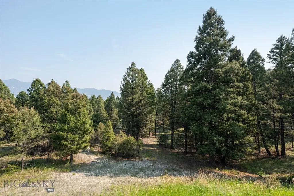 2171 Janney Road Butte MT 59701