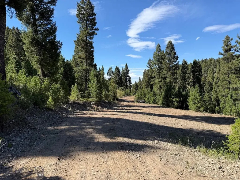 Tbd A&b Chimney Lakes Road Helmville MT 59843