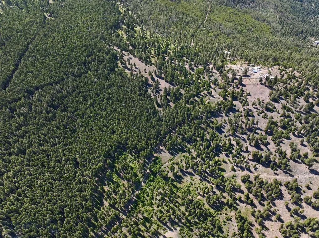 Tbd A&b Chimney Lakes Road Helmville MT 59843