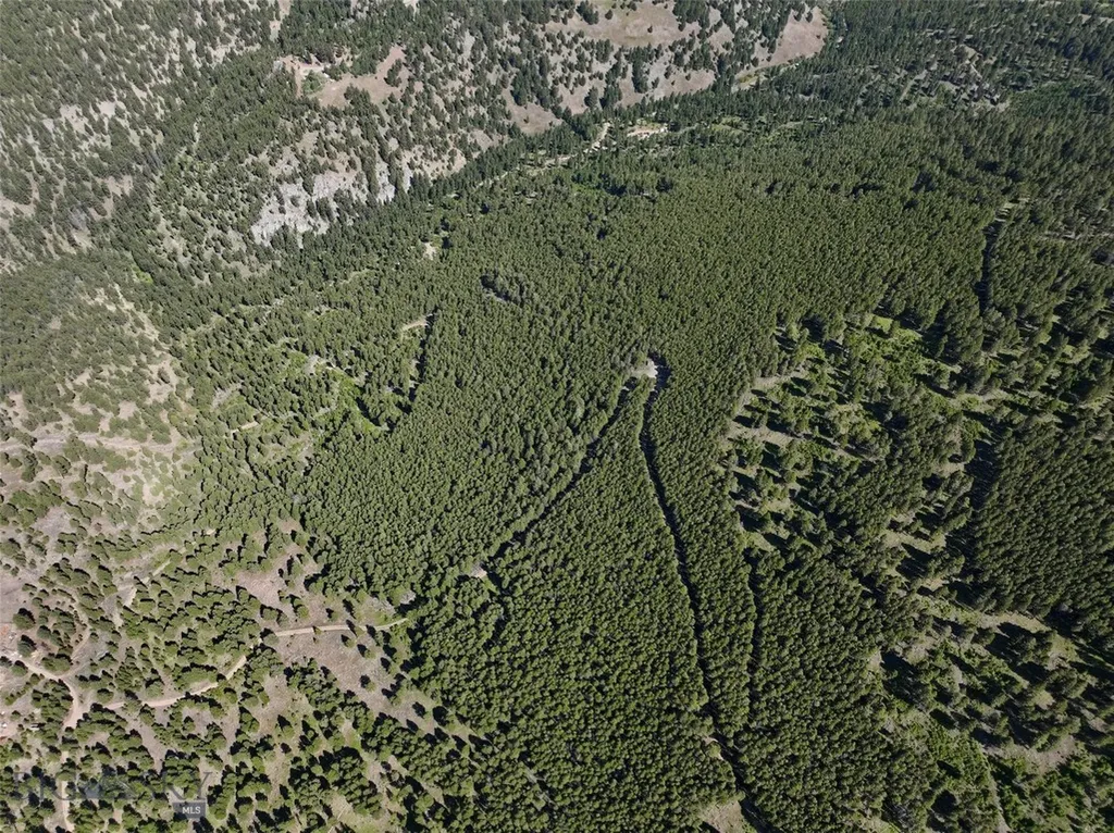 Tbd A&b Chimney Lakes Road Helmville MT 59843
