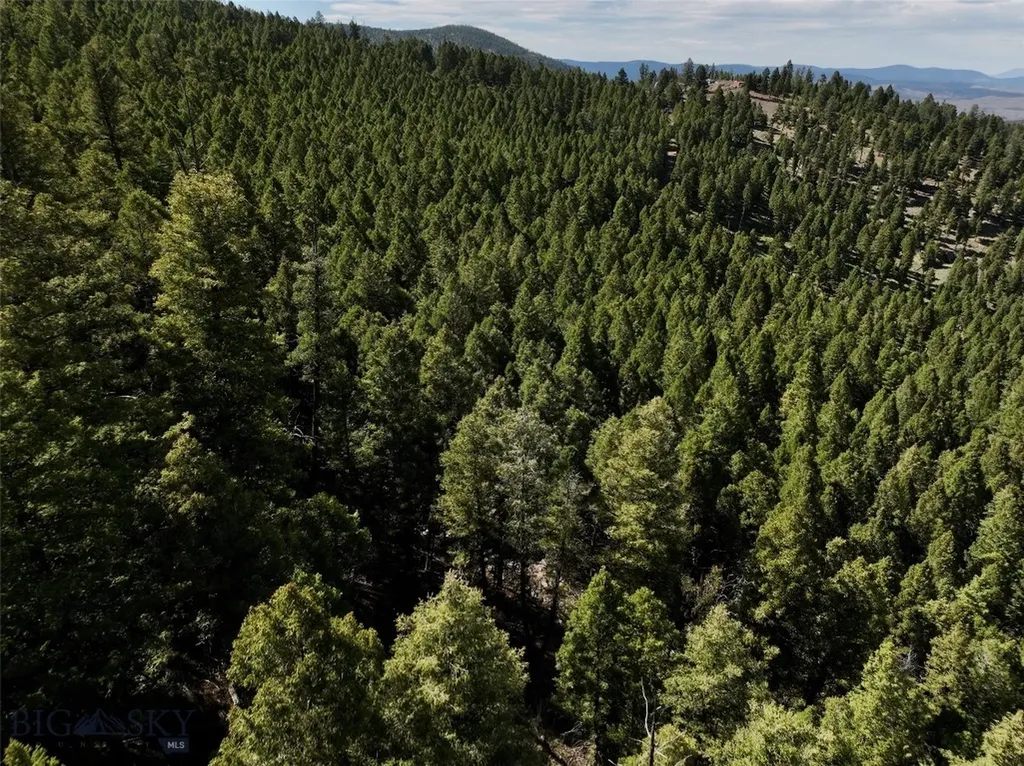 Tbd A&b Chimney Lakes Road Helmville MT 59843