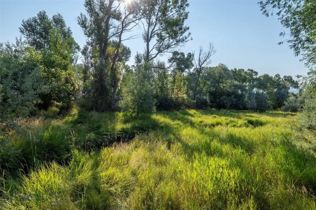 1100 E Geyser Street Livingston MT 59047