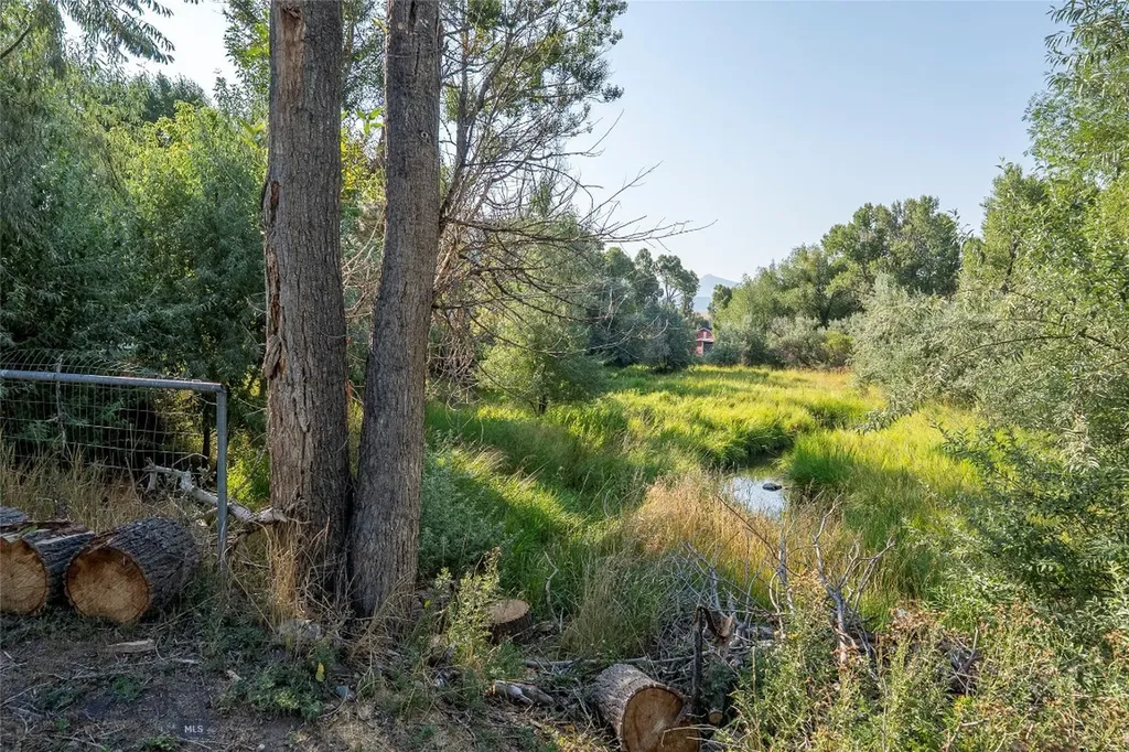 1100 E Geyser Street Livingston MT 59047