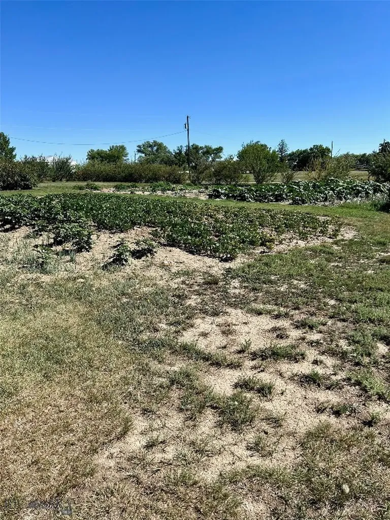 164 W Main Street Other MT 59461