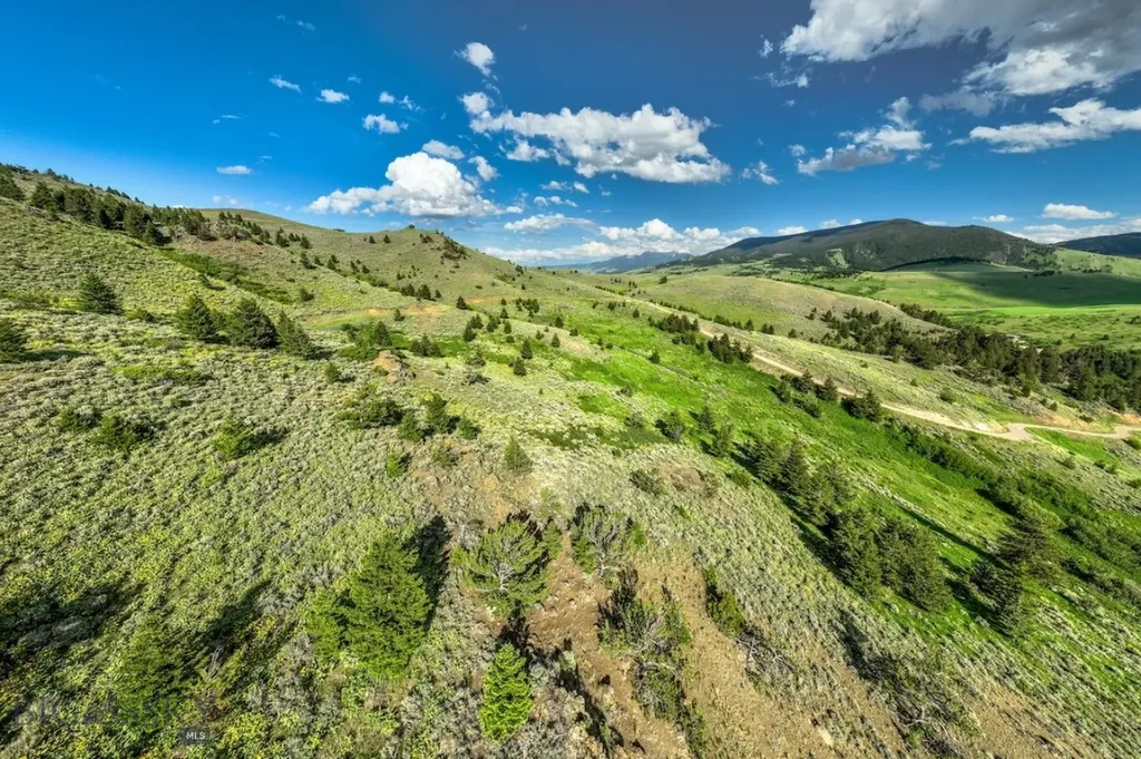 107 Eldridge Creek Trail Livingston MT 59047