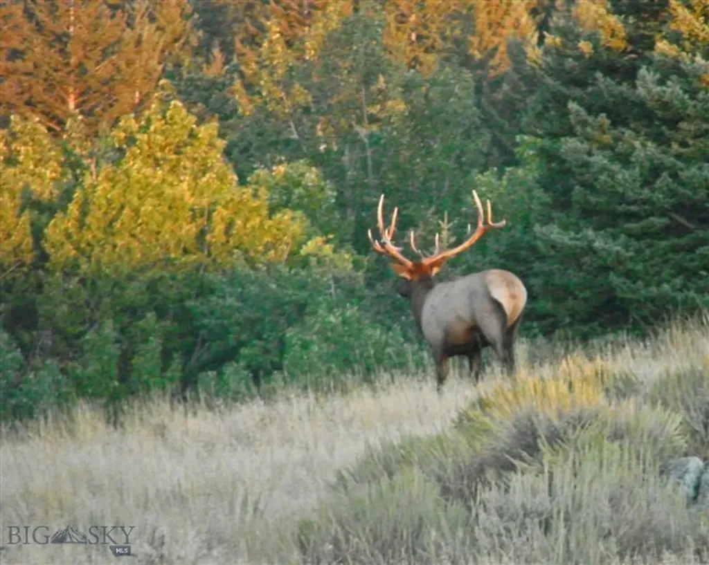 107 Eldridge Creek Trail Livingston MT 59047