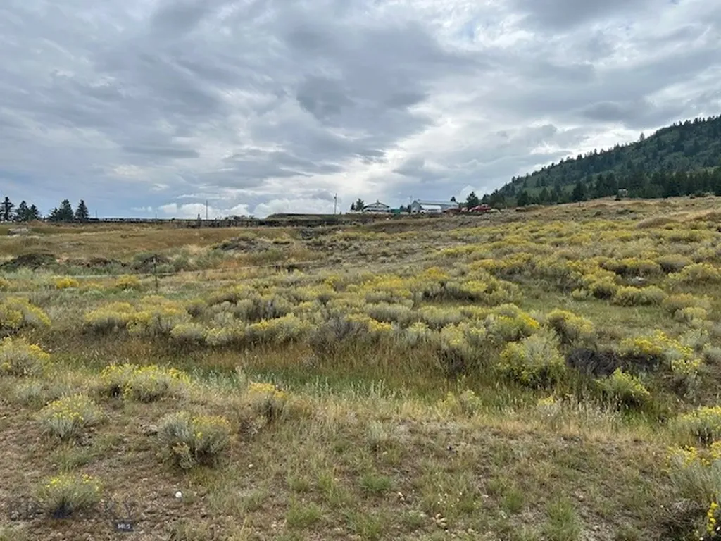 Lot 5 Butte MT 59701