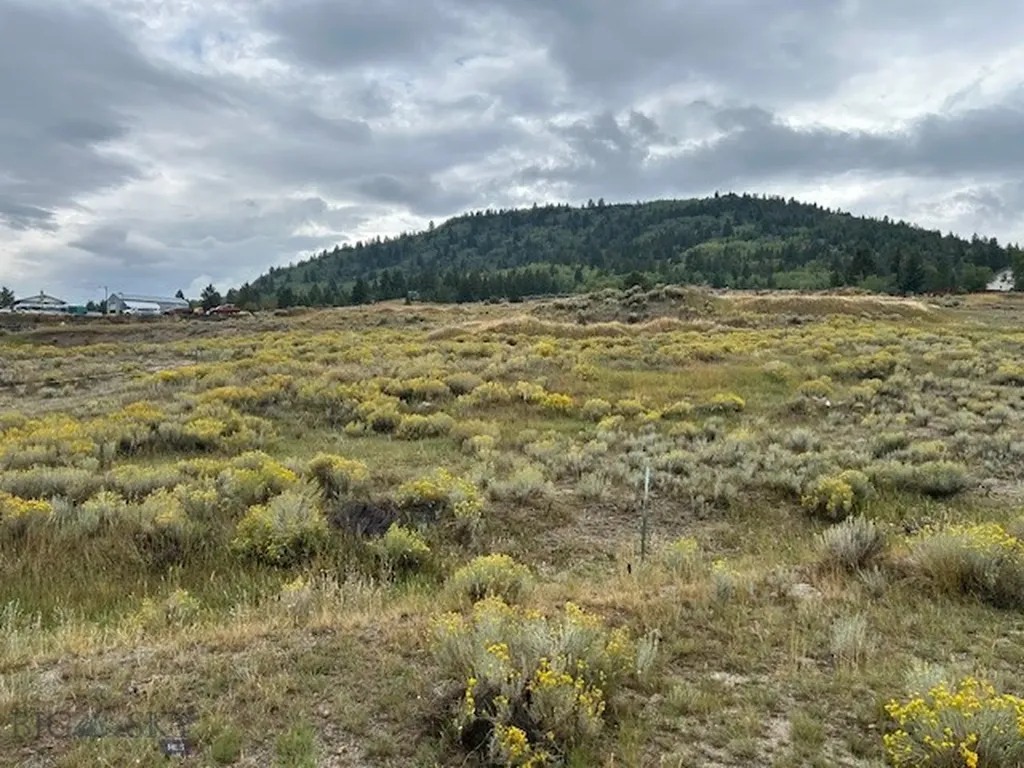 Lot 5 Butte MT 59701
