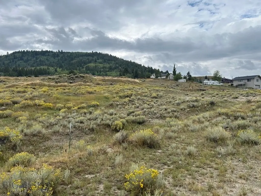 Lot 5 Butte MT 59701