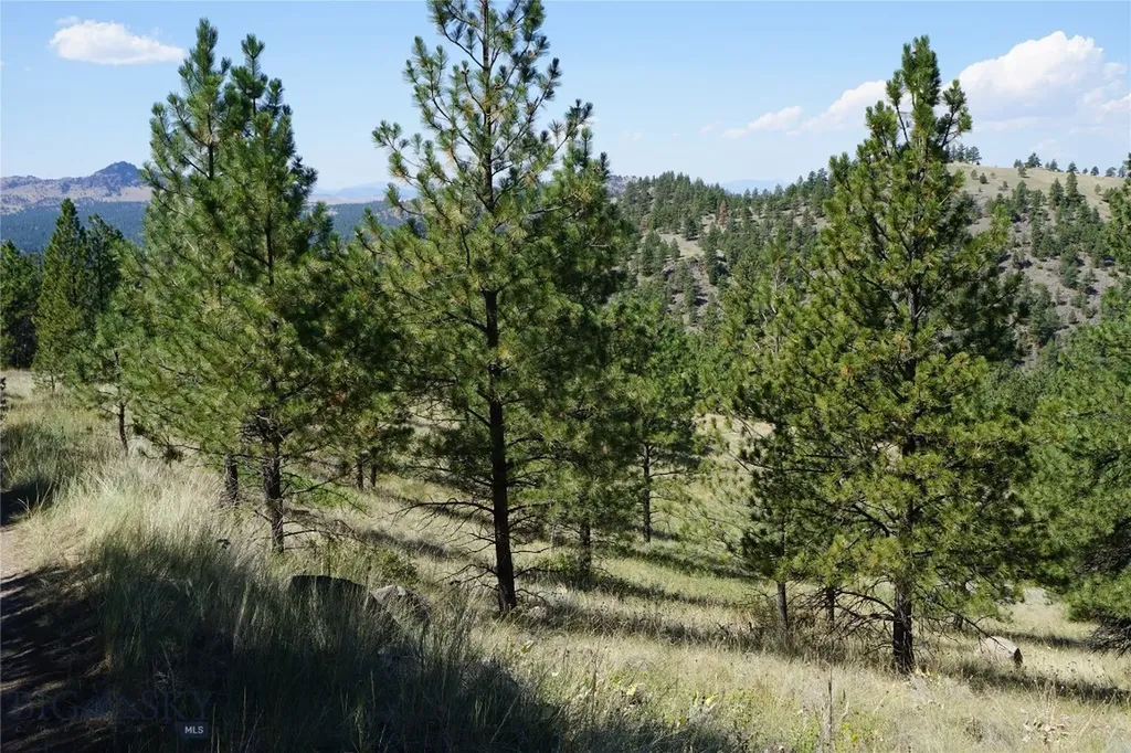 Tbd Ridge Crest Lane Cascade MT 59421