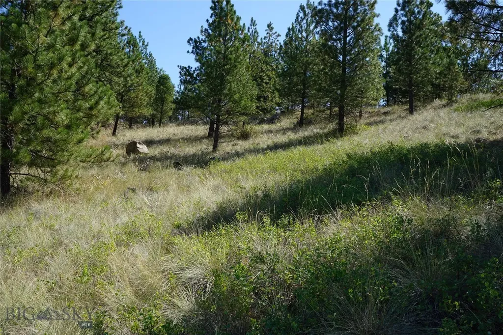 Tbd Ridge Crest Lane Cascade MT 59421