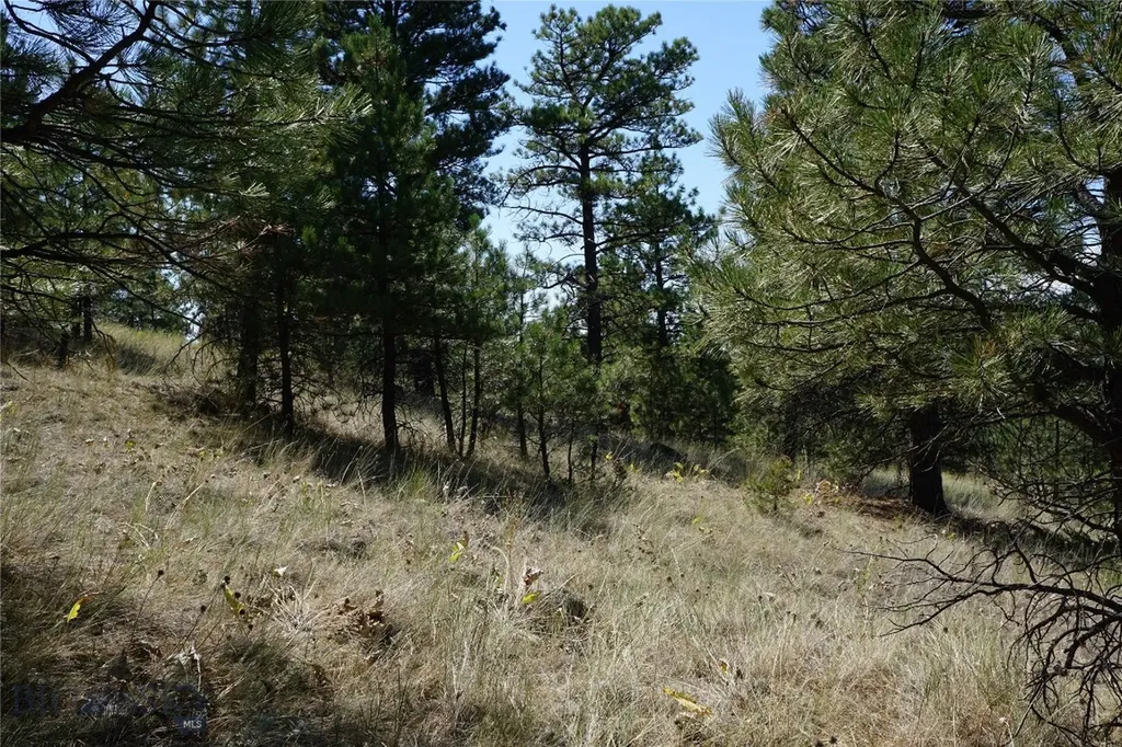 Tbd Ridge Crest Lane Cascade MT 59421