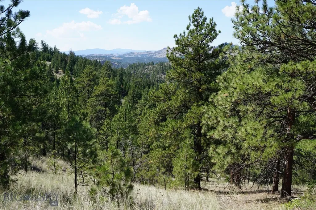 Tbd Ridge Crest Lane Cascade MT 59421