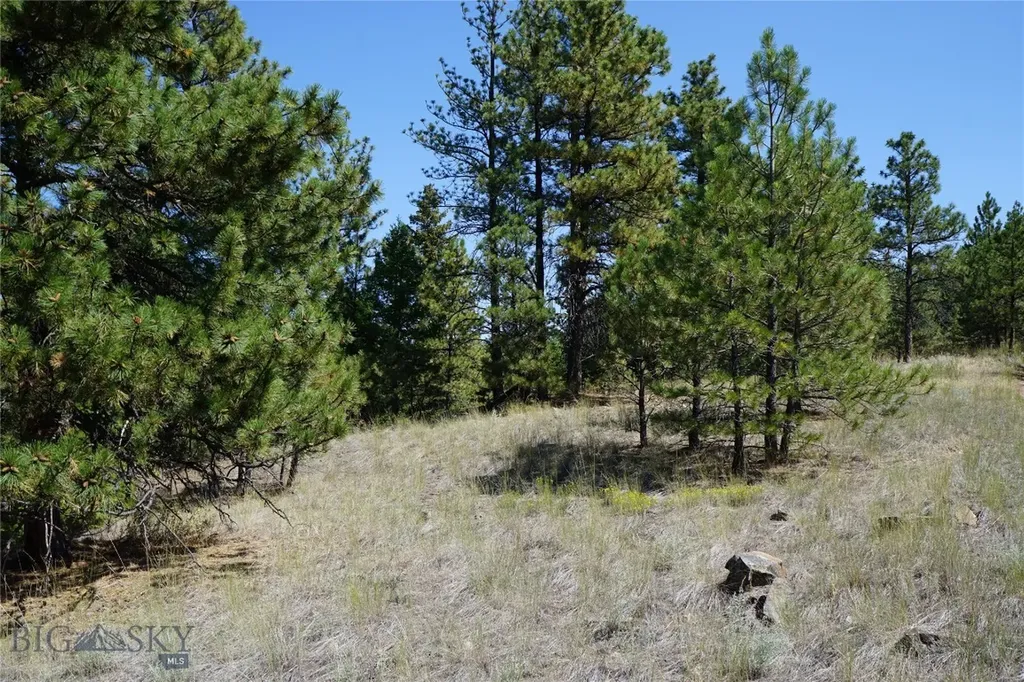Tbd Ridge Crest Lane Cascade MT 59421