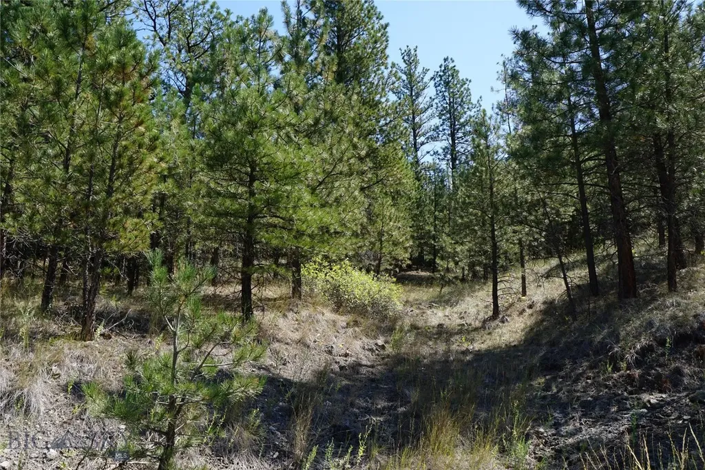 Tbd Ridge Crest Lane Cascade MT 59421