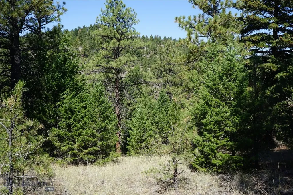 Tbd Ridge Crest Lane Cascade MT 59421