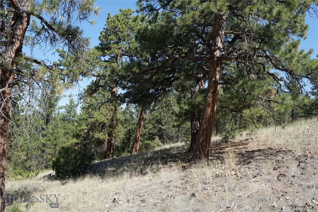 Tbd Ridge Crest Lane Cascade MT 59421