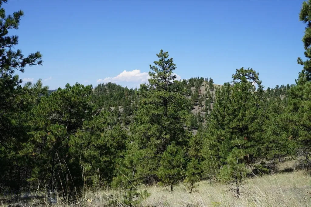 Tbd Ridge Crest Lane Cascade MT 59421