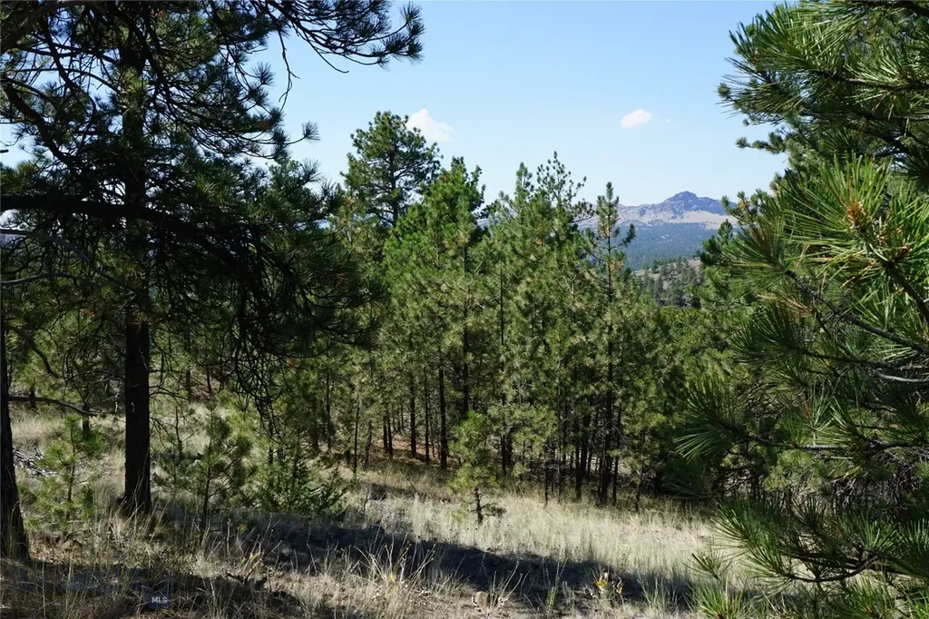 Tbd Ridge Crest Lane Cascade MT 59421