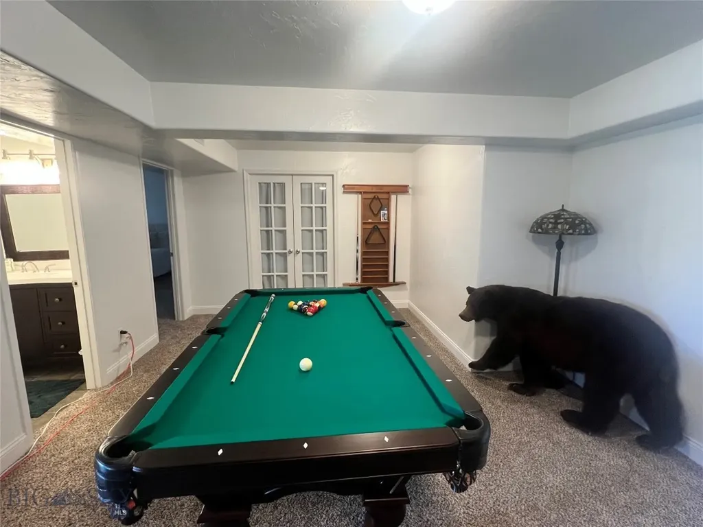 314 Buffalo Drive West Yellowstone MT 59758