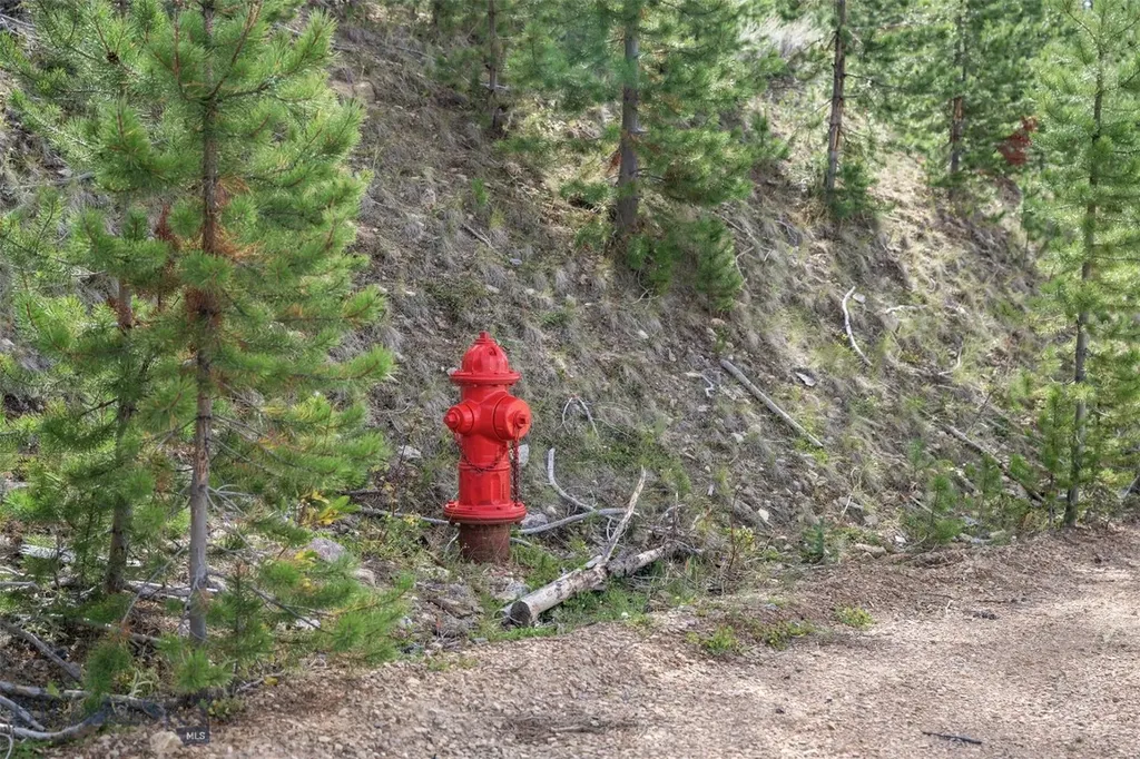 Nhn Miners Road Anaconda MT 59711