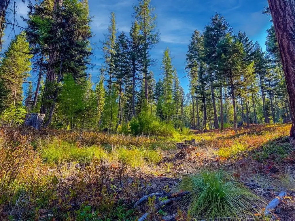 1026 Placid View Place Seeley Lake MT 59868