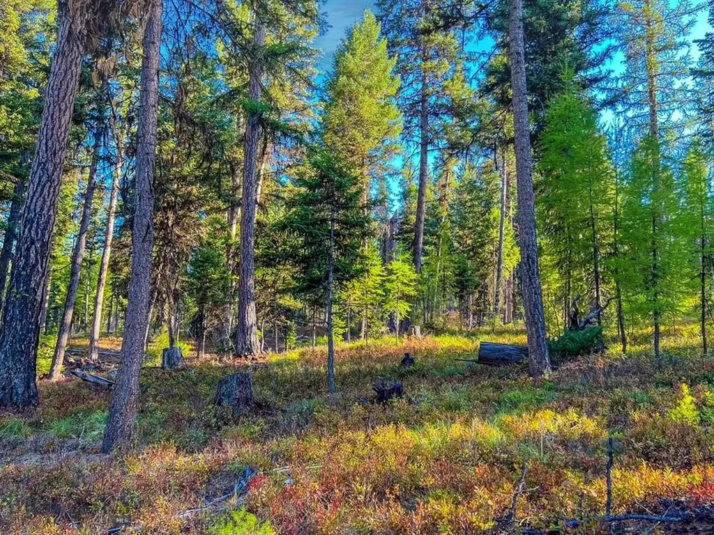 1026 Placid View Place Seeley Lake MT 59868