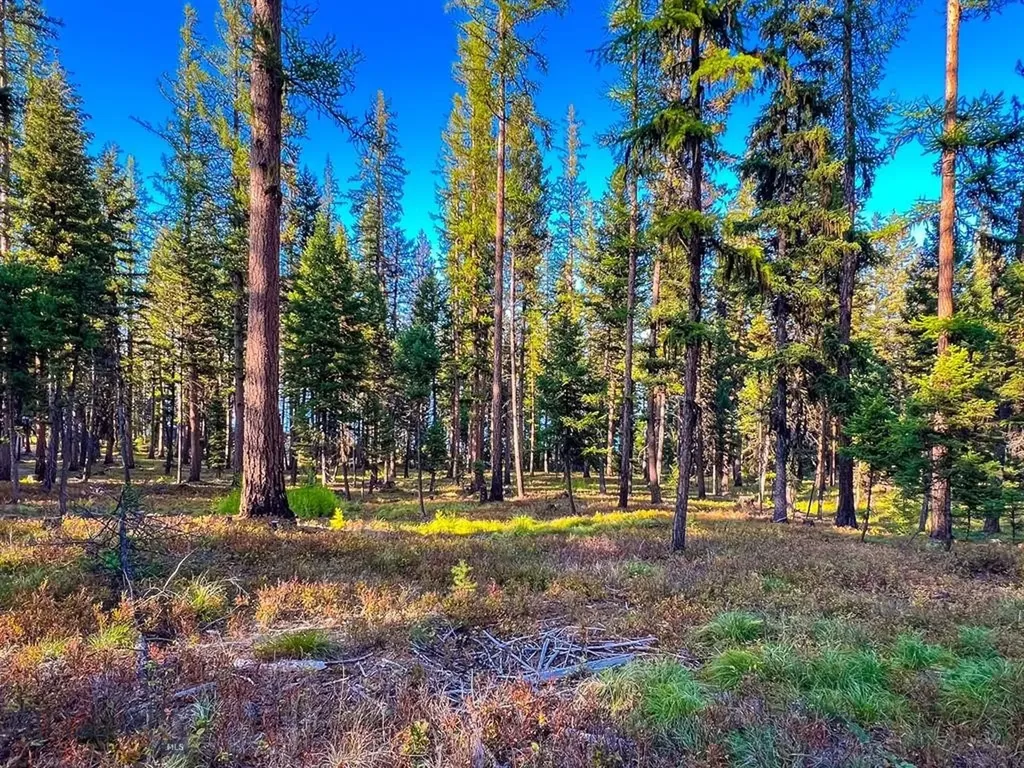 1026 Placid View Place Seeley Lake MT 59868