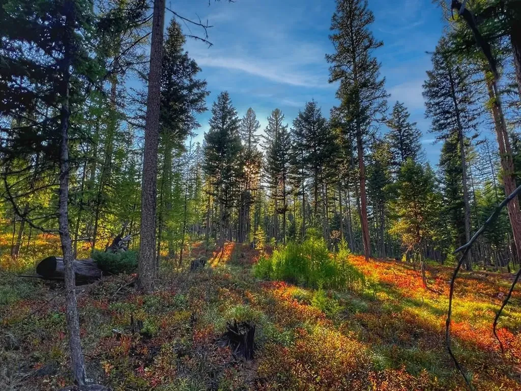 1026 Placid View Place Seeley Lake MT 59868