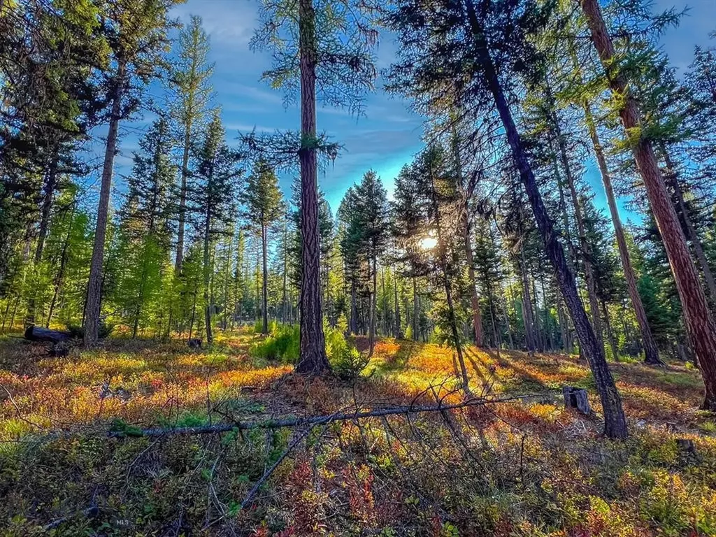1026 Placid View Place Seeley Lake MT 59868