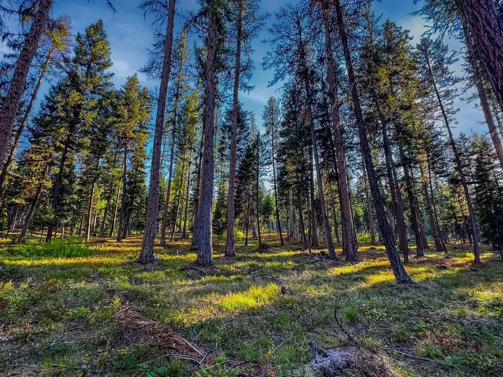 1026 Placid View Place Seeley Lake MT 59868